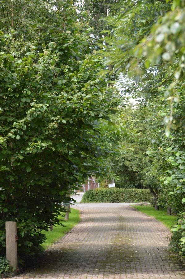 Bed and Breakfast Bij Ons Op 20 Nijeveen Esterno foto